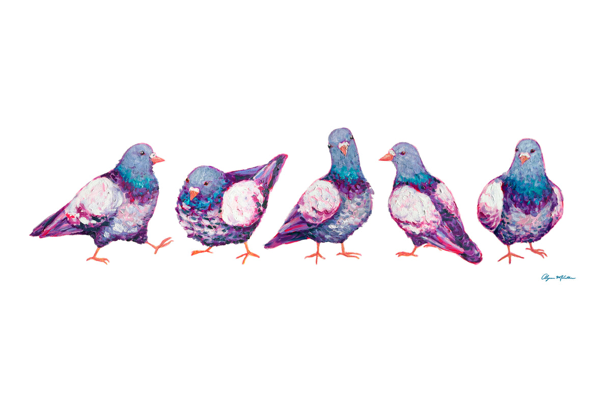 Pigeons