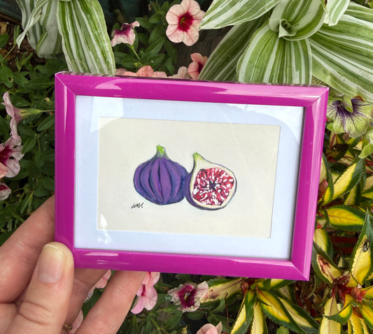 Little Figs