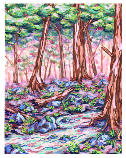Magic Forest