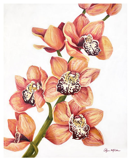 Orchid
