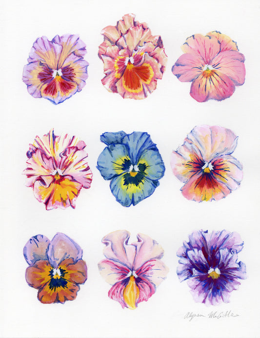 Pansies