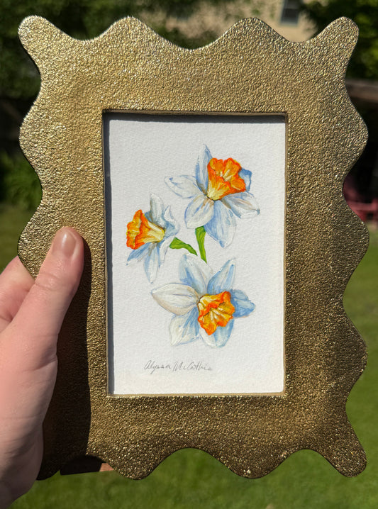 Little Daffodil