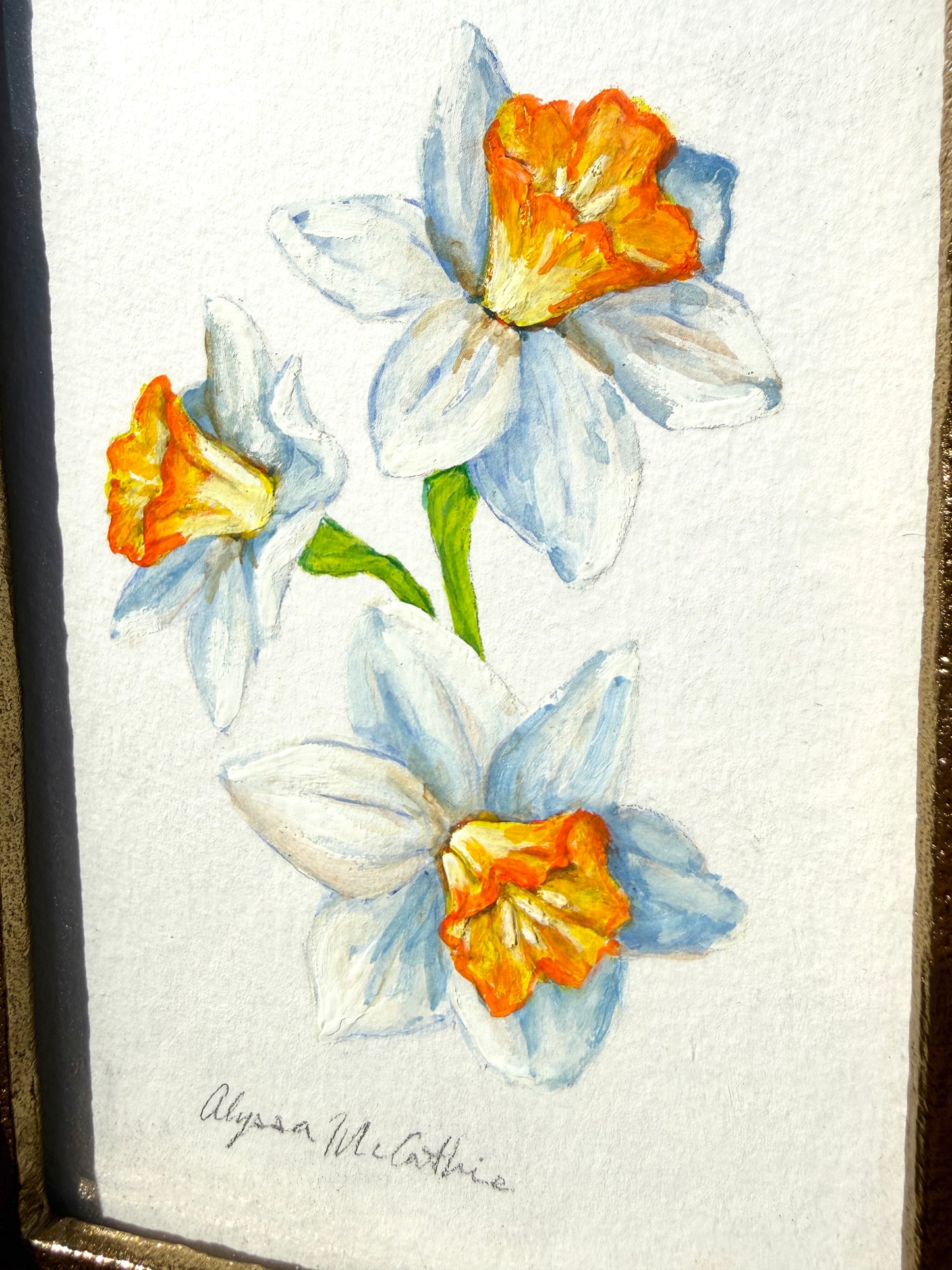 Little Daffodil