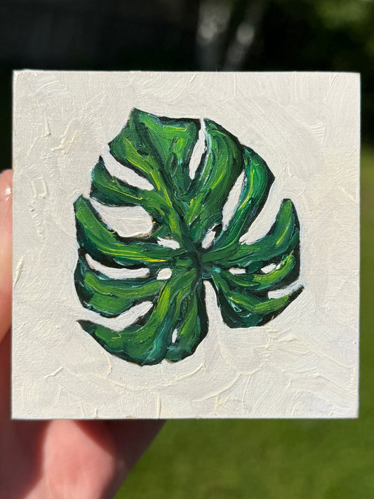 Monstera