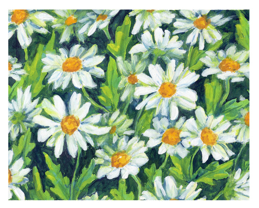 Daisies