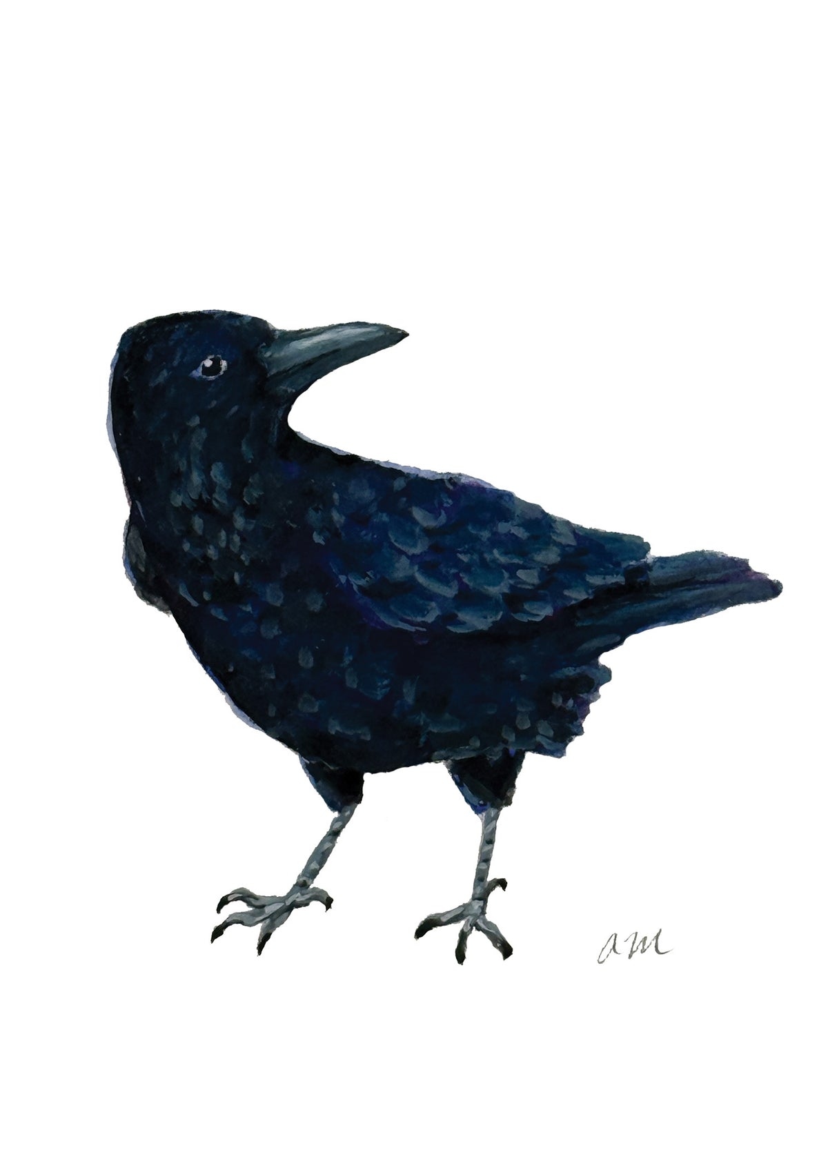 Crow