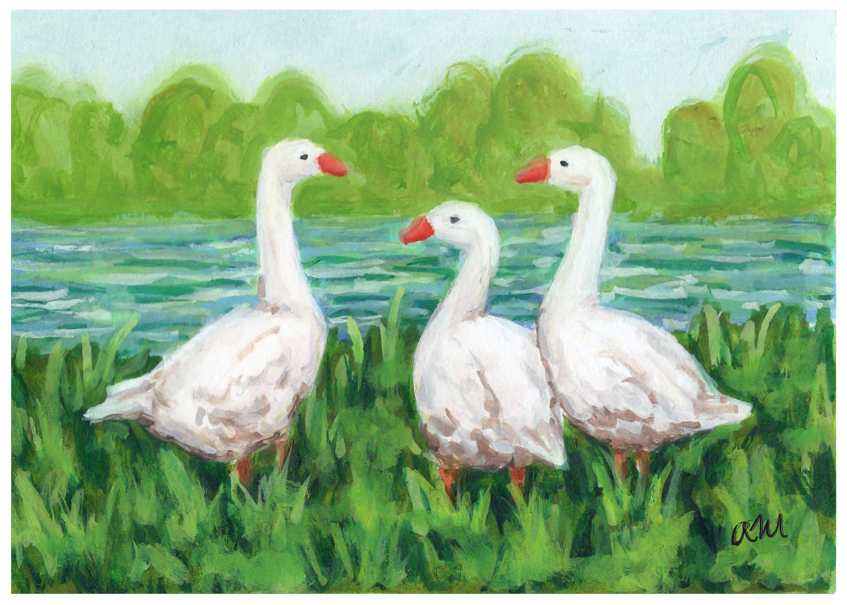 Little Geese