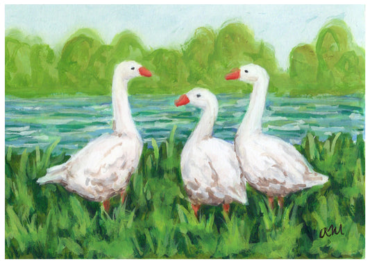 Little Geese