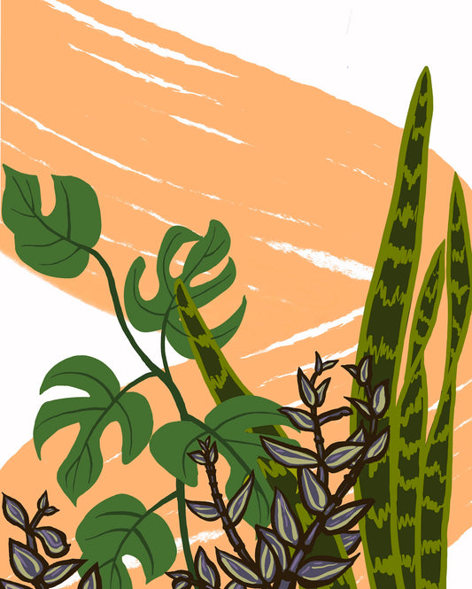 Plant Portrait